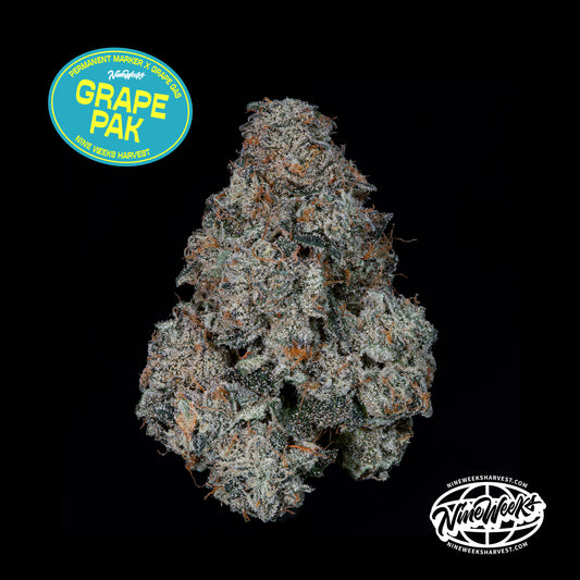 Grape Pak™ (x3) - Candy Fumez x Grape Gas- Semillas Feminizadas - Nine Weeks Harvest | semillas feminizadas Grape Pak