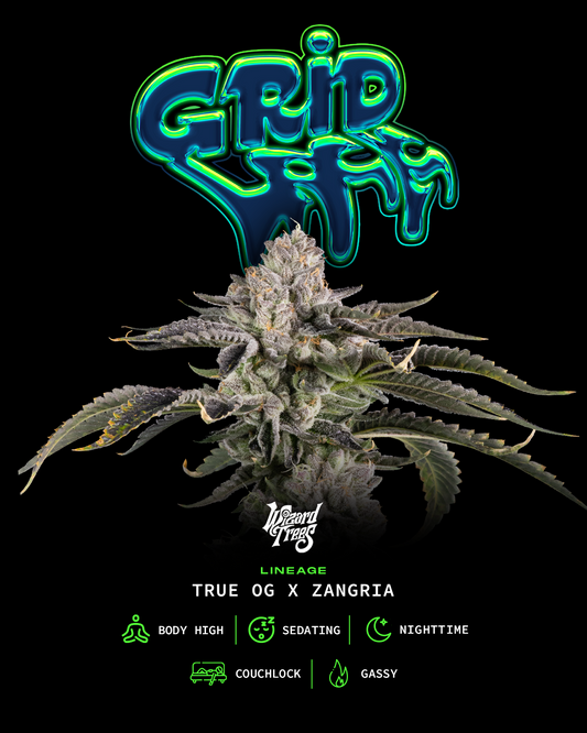 Gridlock™ (x3)  - Semillas Feminizadas - True OG x Zangria - Wizard Trees | semillas feminizadas Gridlock