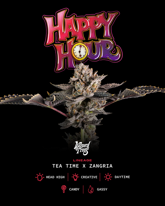 Happy Hour™ (x3)  - Semillas Feminizadas - Tea Time x Zangria - Wizard Trees | semillas feminizadas Happy Hour