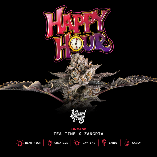 Happy Hour™ (x3)  - Semillas Feminizadas - Tea Time x Zangria - Wizard Trees | semillas feminizadas Happy Hour