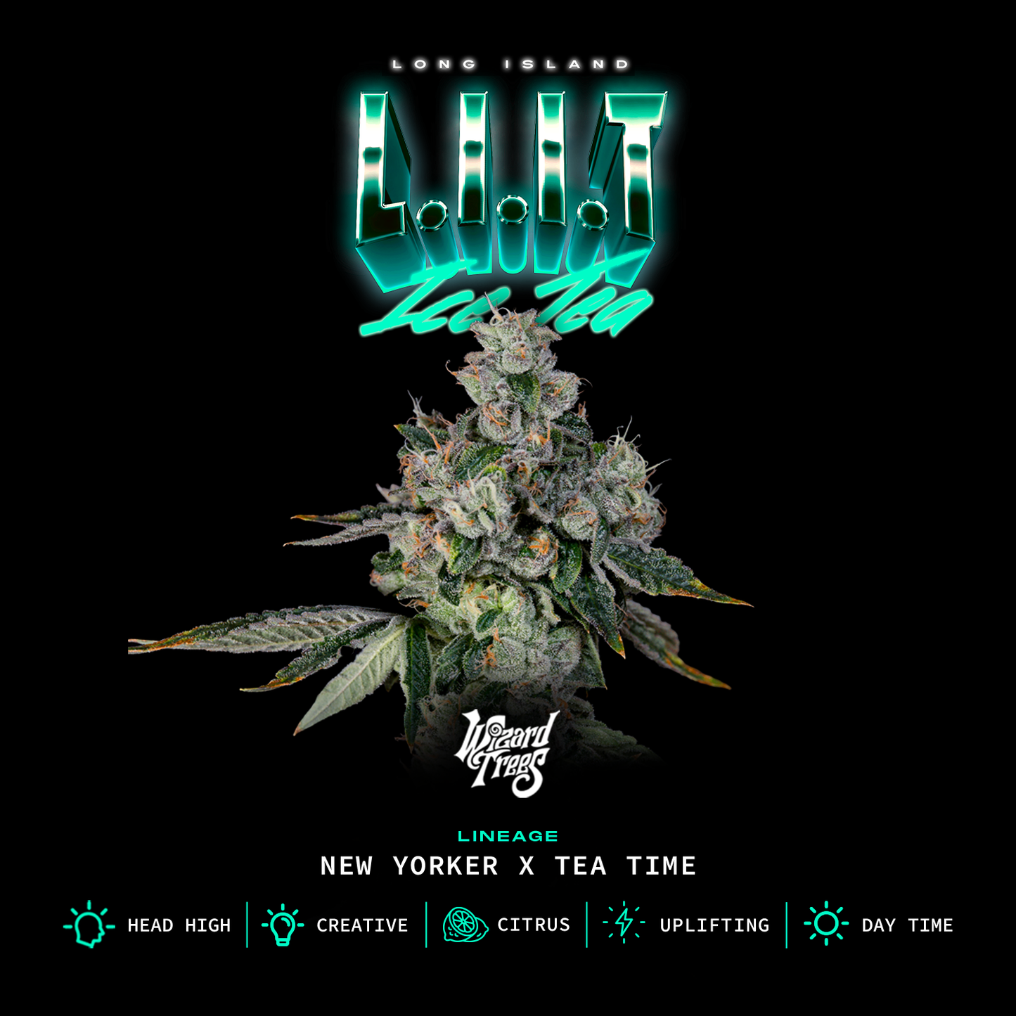 L.I.I.T | Wizard Trees
