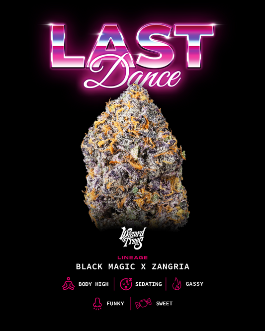Last Dance™ (x3)  - Semillas Feminizadas - Blackmagic x Zangria - Wizard Trees | semillas feminizadas Last Dance
