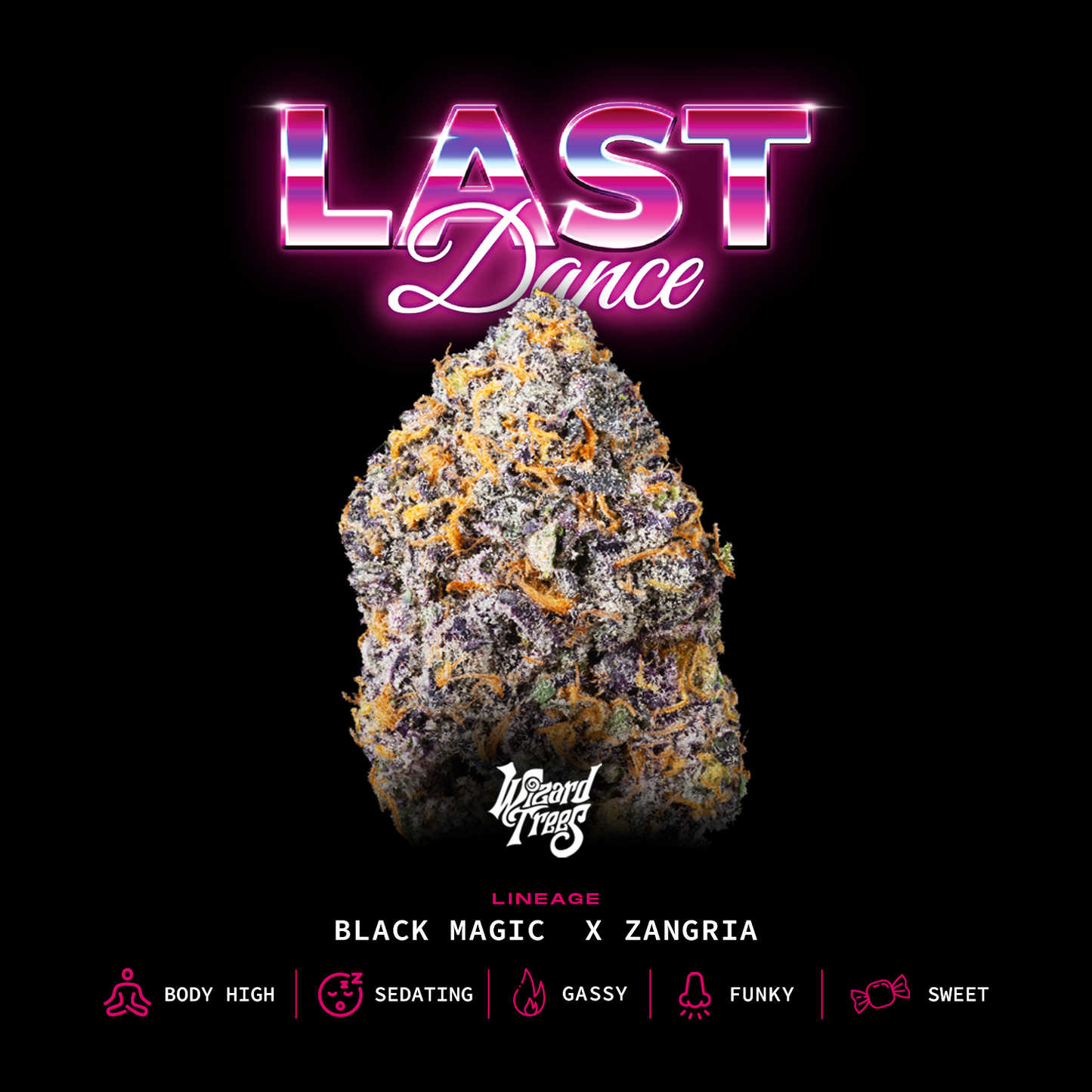 Last Dance™ (x6)  - Semillas Feminizadas - Blackmagic x Zangria - Wizard Trees | semillas feminizadas Last Dance