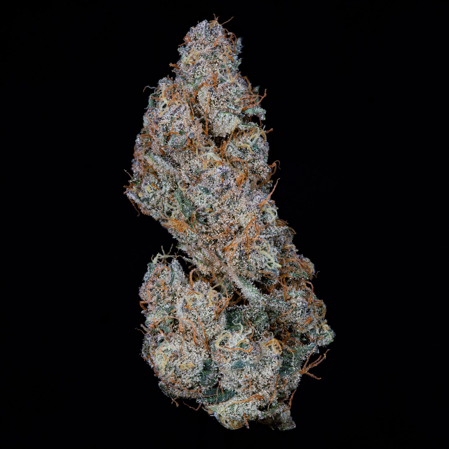 Ice Pop™ (x3) - Trop Cherry x Grape Gas - Semillas Feminizadas- Nine Weeks Harvest | semillas feminizadas Ice Pop