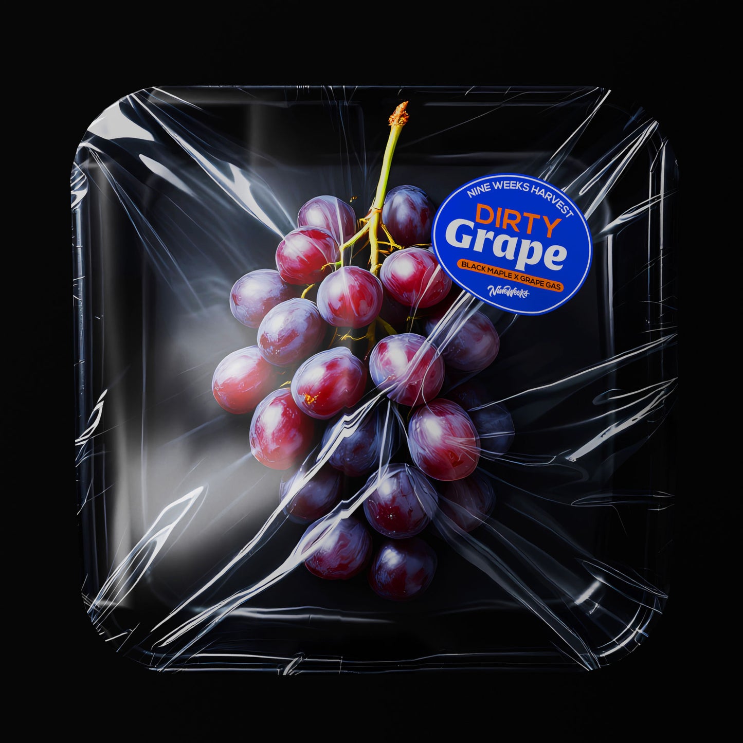 Dirty Grape™ (x3) - Black Maple x Grape Gas - Semillas Feminizadas- Nine Weeks Harvest | semillas feminizadas Dirty Grape