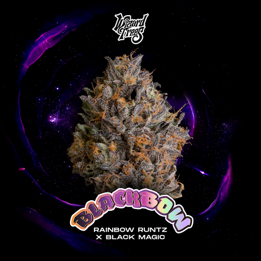 BLACK BOW™ · Wizard Trees