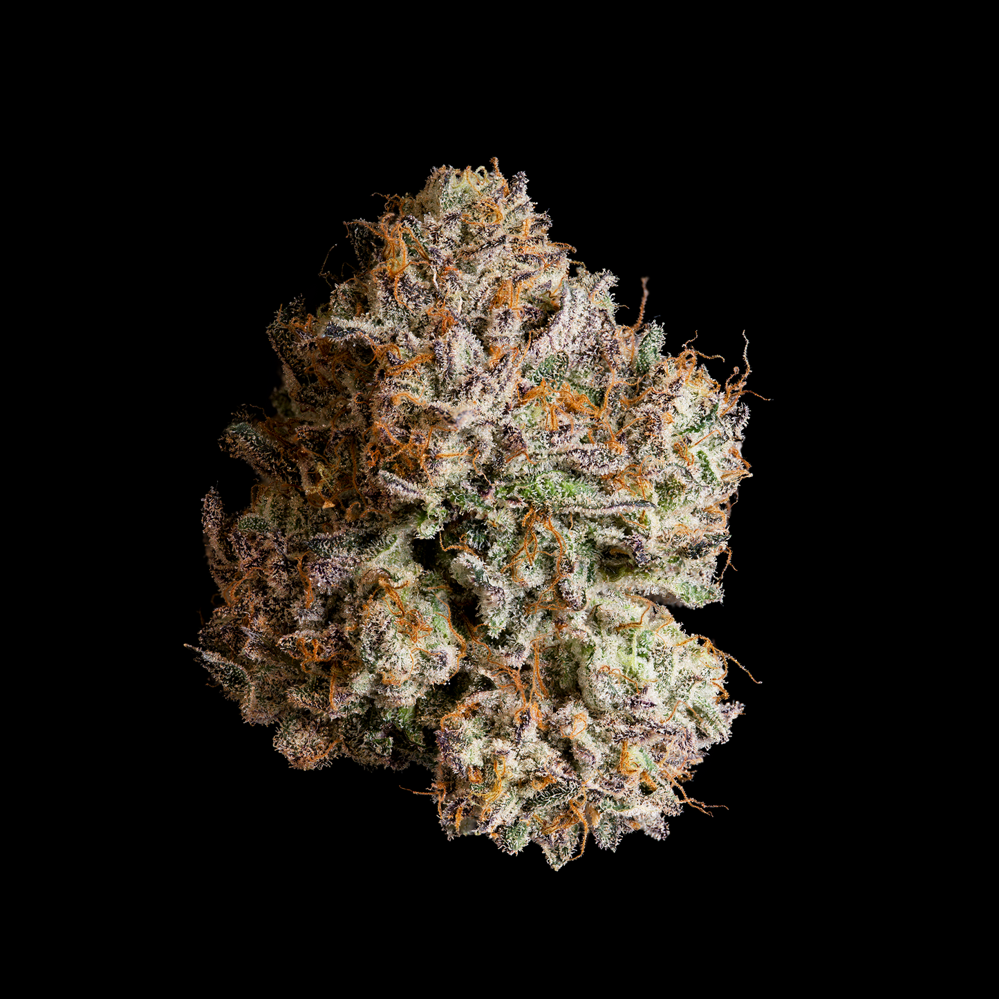 OBSIDIAN™ · Wizard Trees