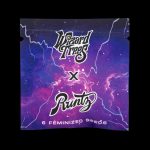 Vice Runtz™ (x6)  - Semillas Feminizadas - Runtz x Zangria - Wizard Trees | semillas feminizadas Vice Runtz